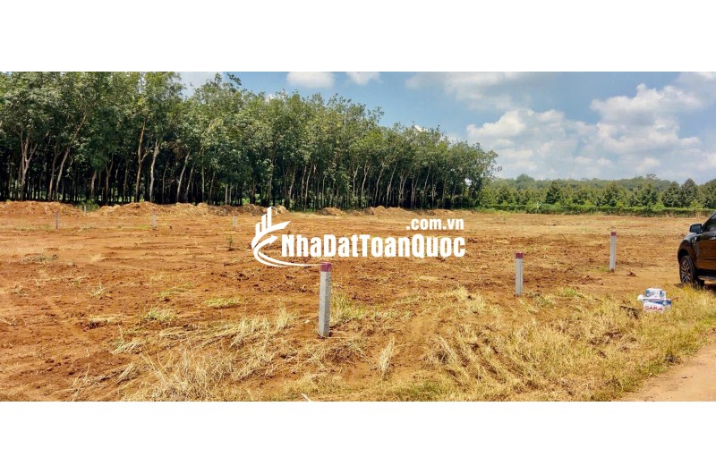  Ưu đãi vàng – Chốt ngay nhận 1 chỉ  Đất Long Hà, MT nhựa 8m – 10×37m, thổ cư, SHR  Chỉ 290 triệu – còn 1 suất cuối!  Bảo Ấn – 0859 562 678